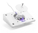logitech-tap-ip-gallery-white-5.webp